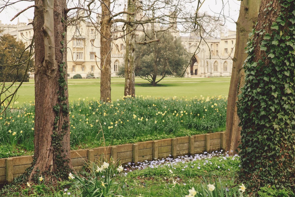 Jardin anglais